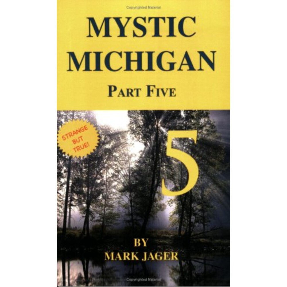 Mystic Michigan Part Five Perfect Paperback Book Mark Jager new